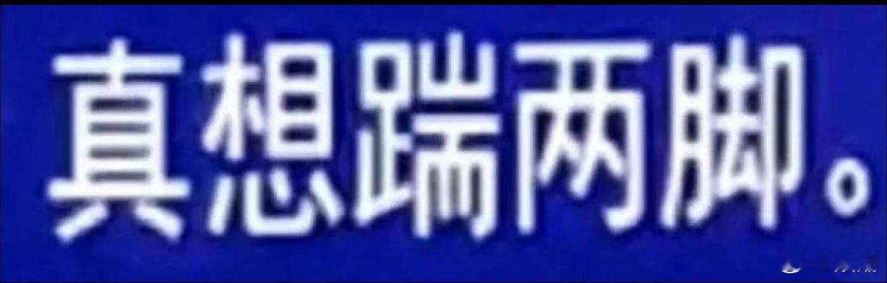 在粉圈就别想做什么老好人了，你好心说都是朋友别拉踩，反手就阴阳你举报你，老实没？