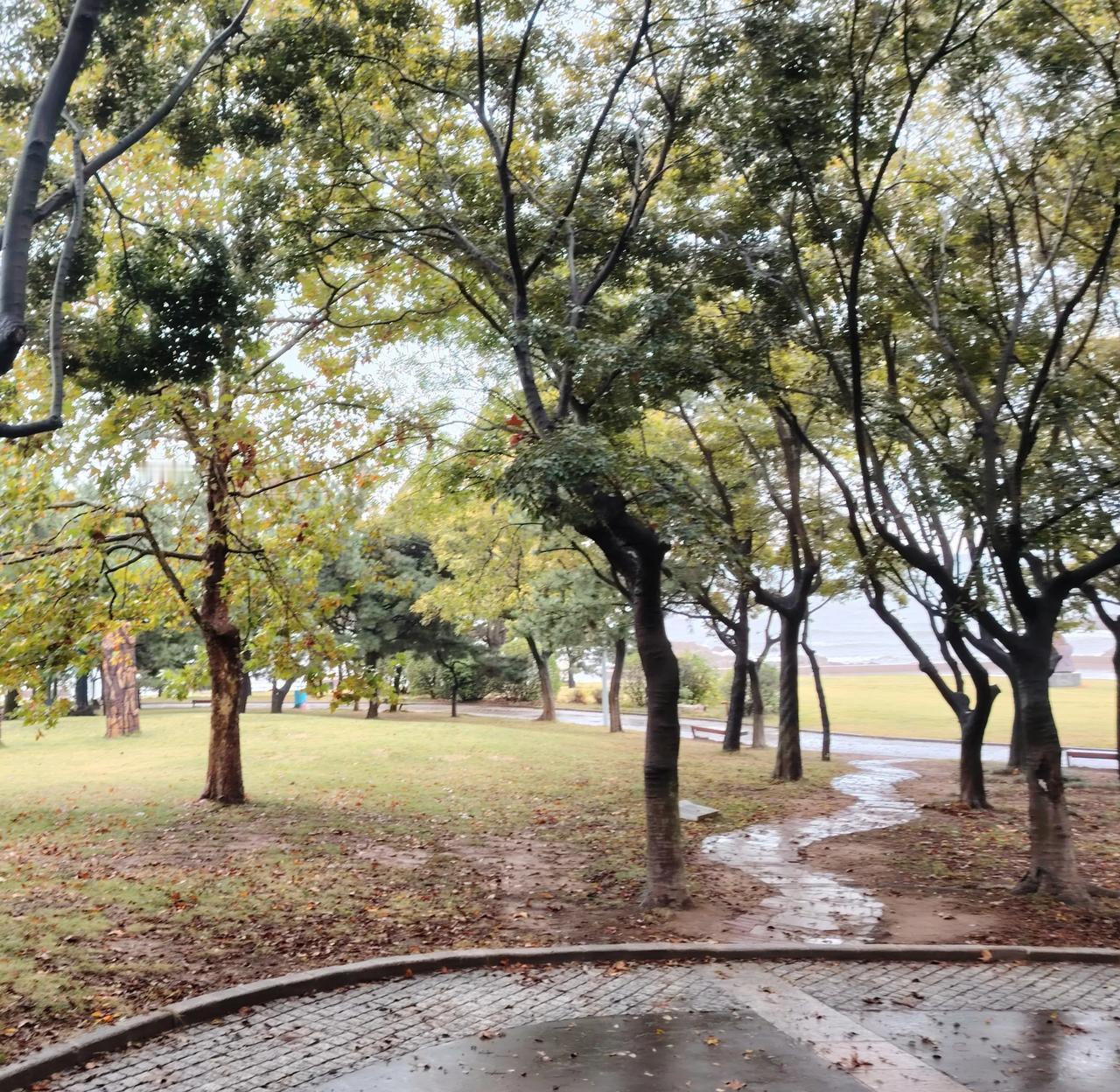 本周青岛天气较为波折，先抑后扬再抑，在短暂的冷空气影响过后，15、16日将进入多