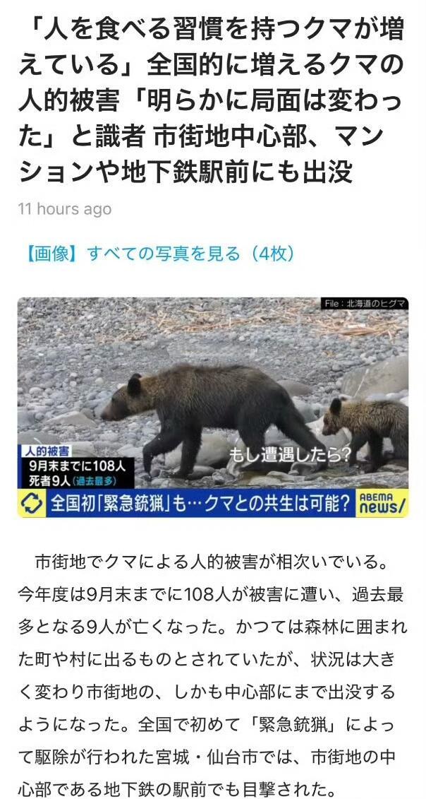 最近日本“熊出没”的事儿闹得挺大，刷到新闻心里确实有点打鼓。但琢磨了一下，如果你