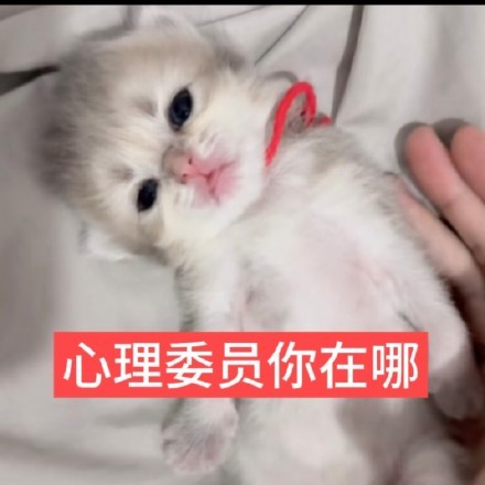 有时候蛮希望自己能做个无忧无虑一点的人至少不要那么内耗、 