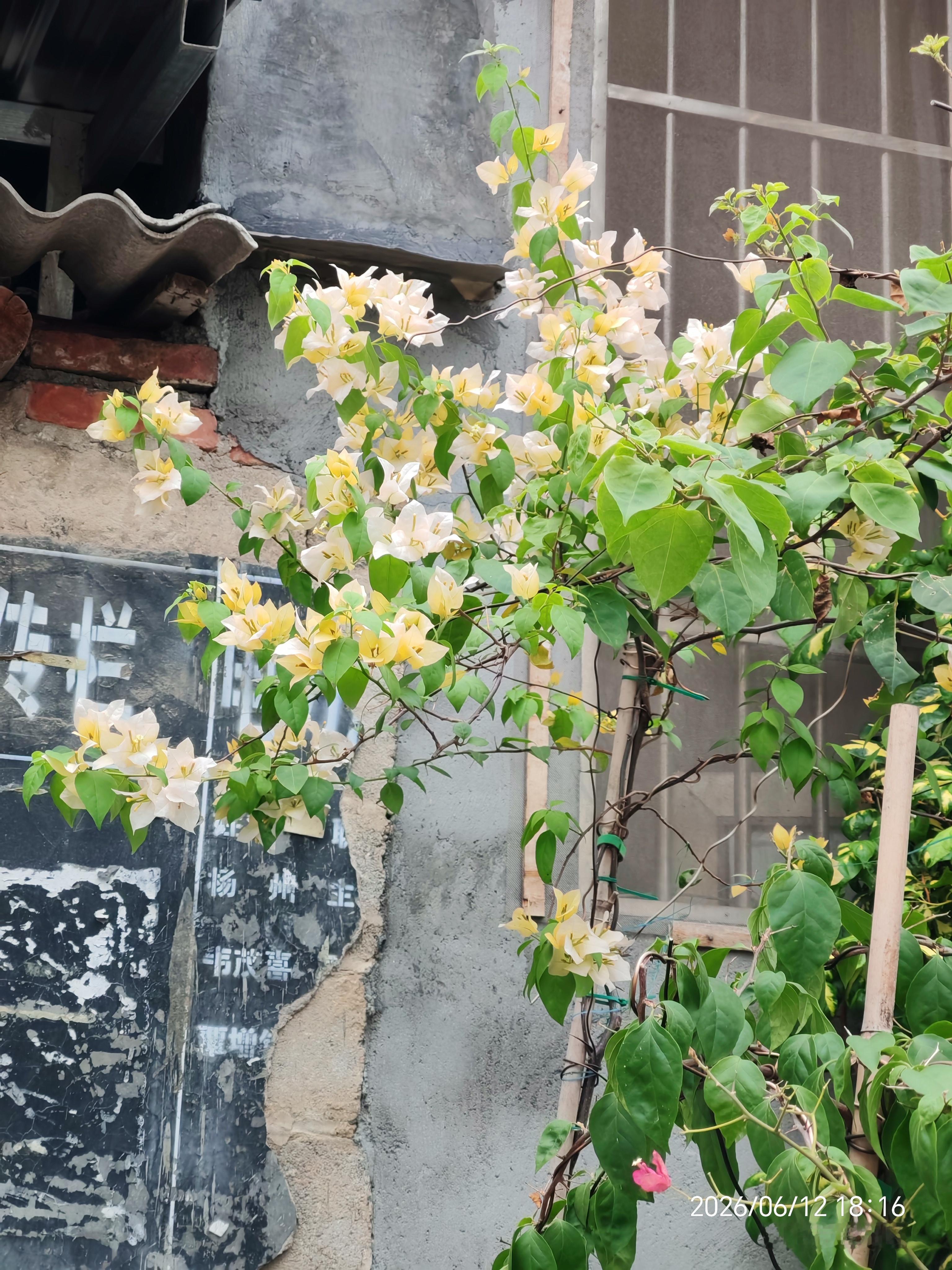 生活手记