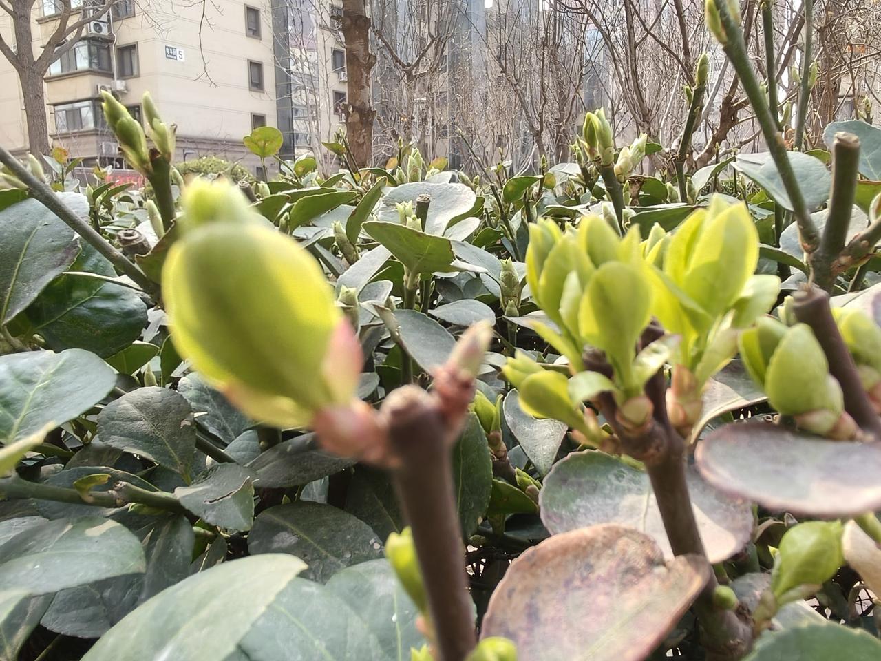 上联:清晨闻鸟叫，邀下联:室内心潮涌！