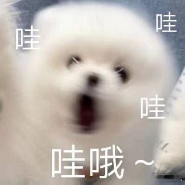 苹果最贵手机诞生 期待了好几年的苹果折叠屏终于亮相，可惜价格实在劝退，一万五的起