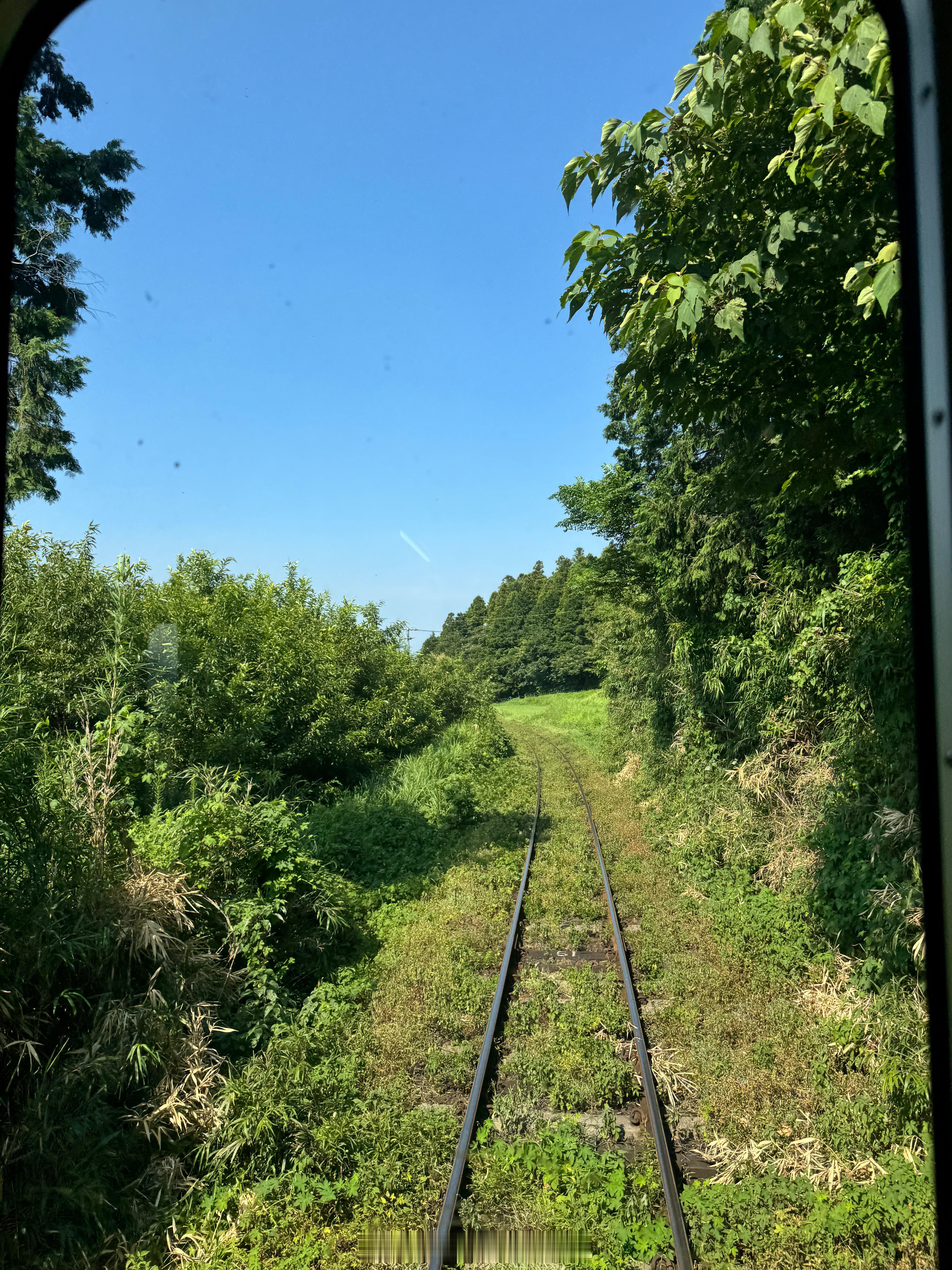 深夜话题：虽然说人生如棋，落子无悔。但你的人生有什么遗憾后悔的事吗？ 