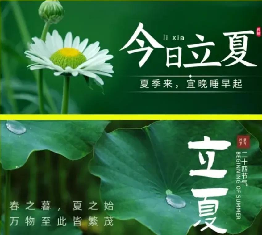 提醒大家注意了：从今天开始，就正式进入立夏节气了，今年立夏非同寻常，是120年一