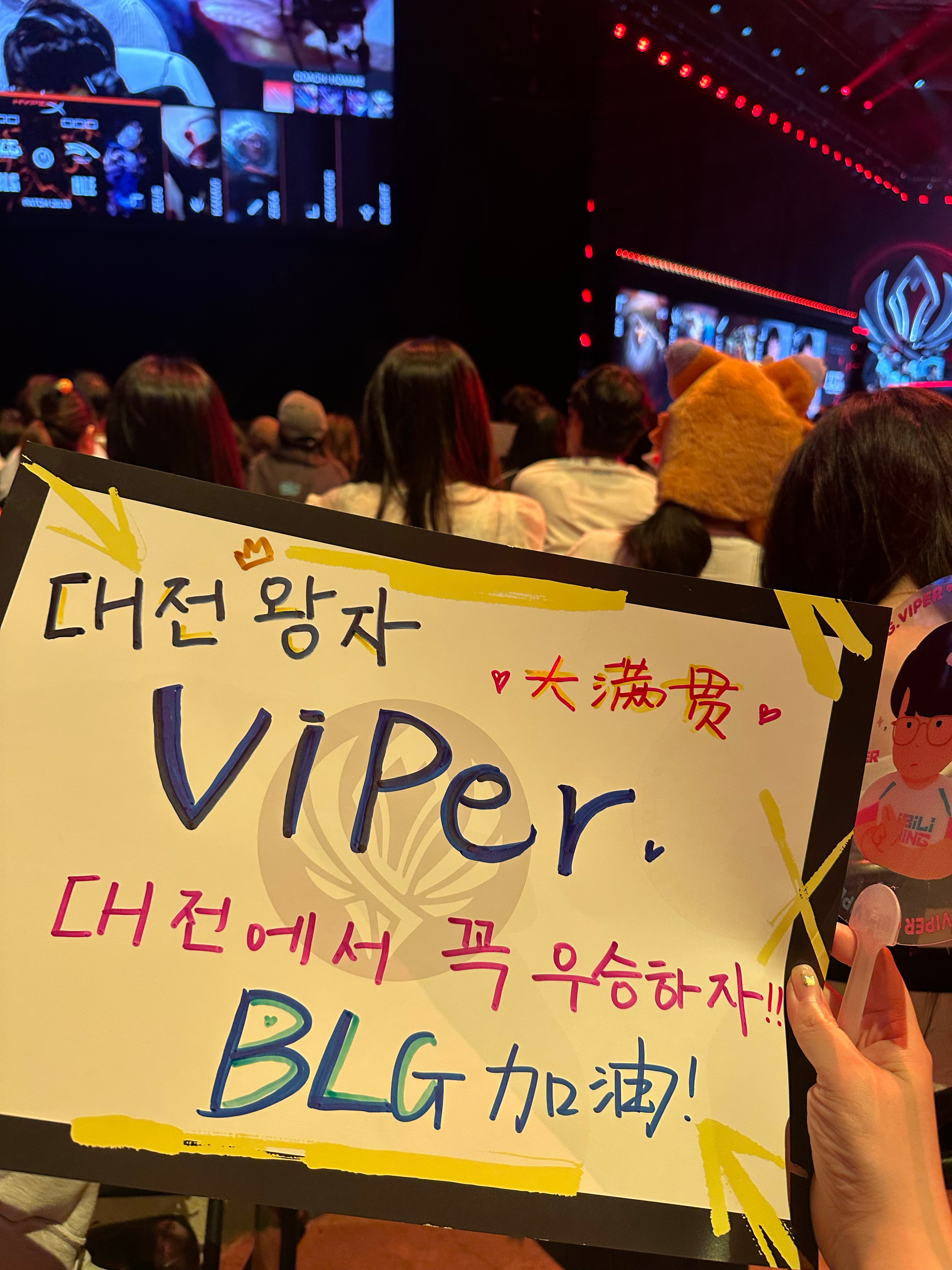 Viper冲击大满贯加油啊！！！冲击大满贯！！！ 韩国·大田DCC