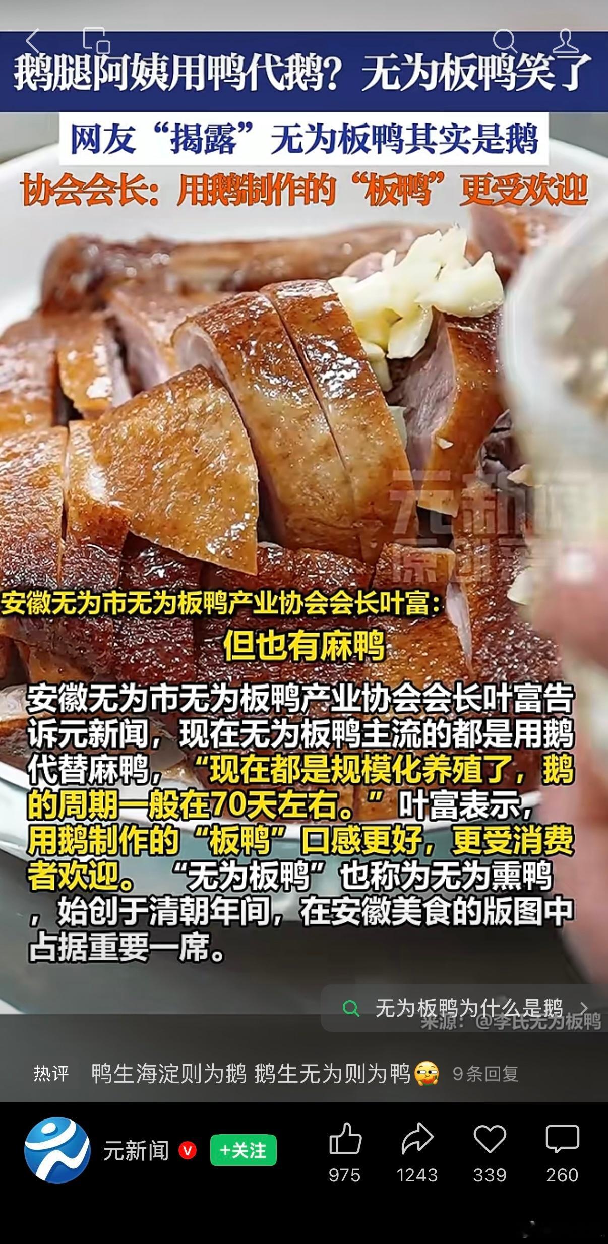 无为板鸭，「鸭骗战争」中全场唯一真老实人。 