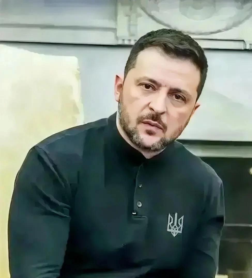 乌克兰让人意外消息！
2026年4月3日，乌克兰总统泽连斯基突然抛出重磅邀请，请