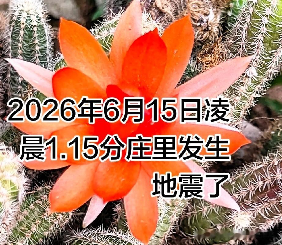 凌晨一点十五分，手机刺耳的警报声划破寂静，那一刻，心脏确实猛地跳漏了一拍。

陕