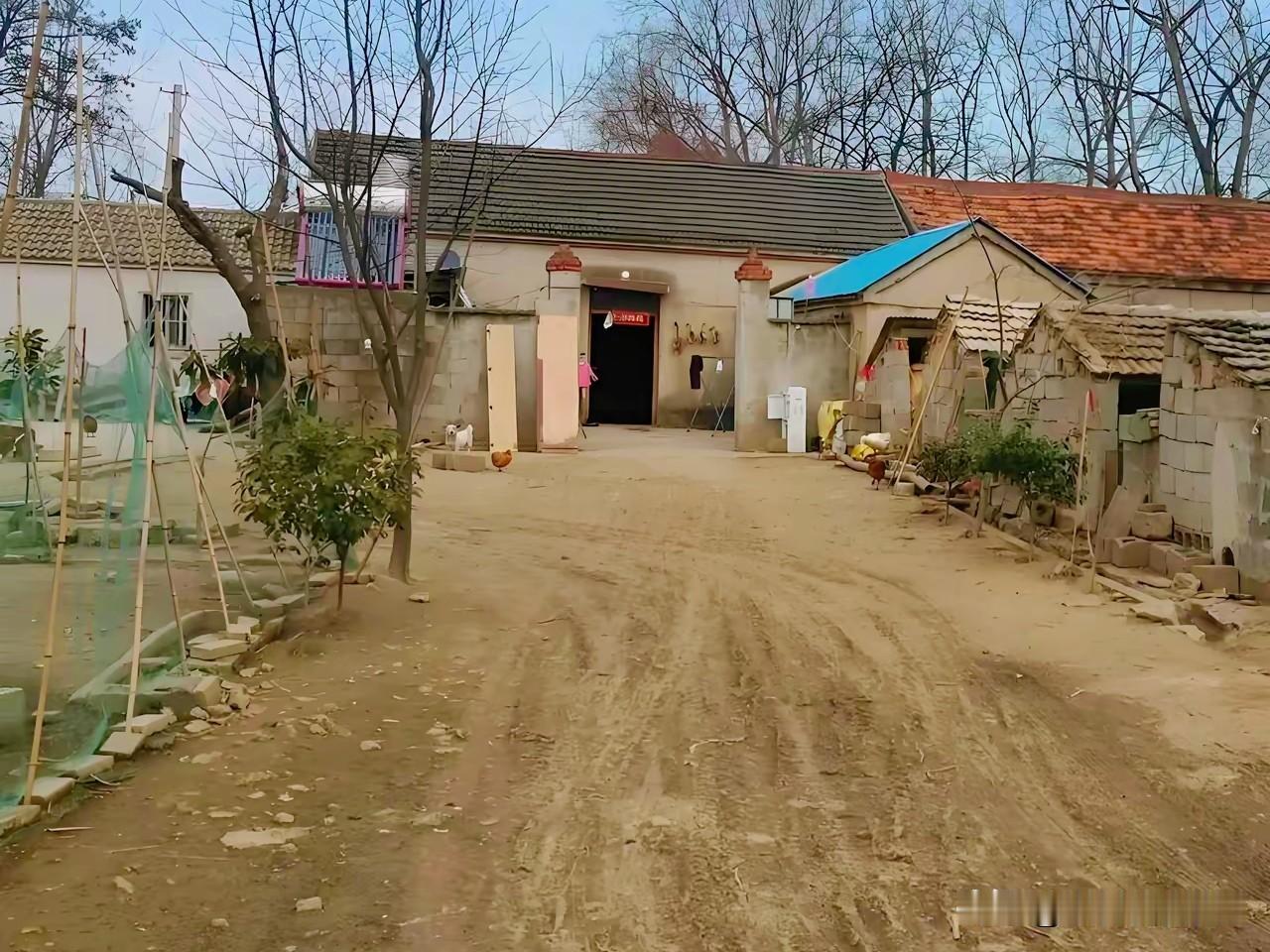 农村的土地种不出玉米了，年轻人都搬走了，村子活像空城。我上周回趟老家，站在田埂上