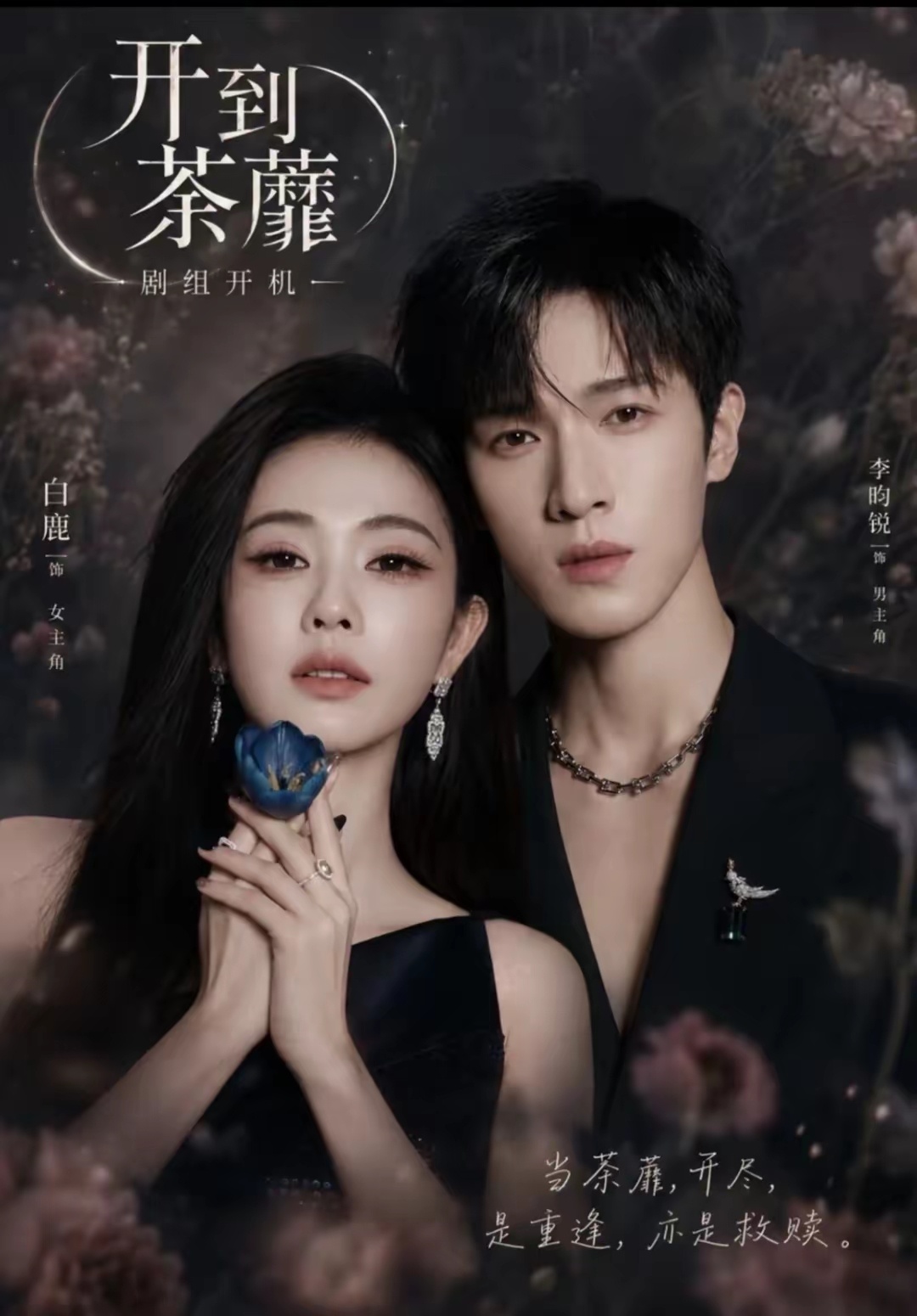 电视剧(开到荼靡)7月广东开机！！竟然是白鹿和李昀锐演，白鹿资源也太好了吧 