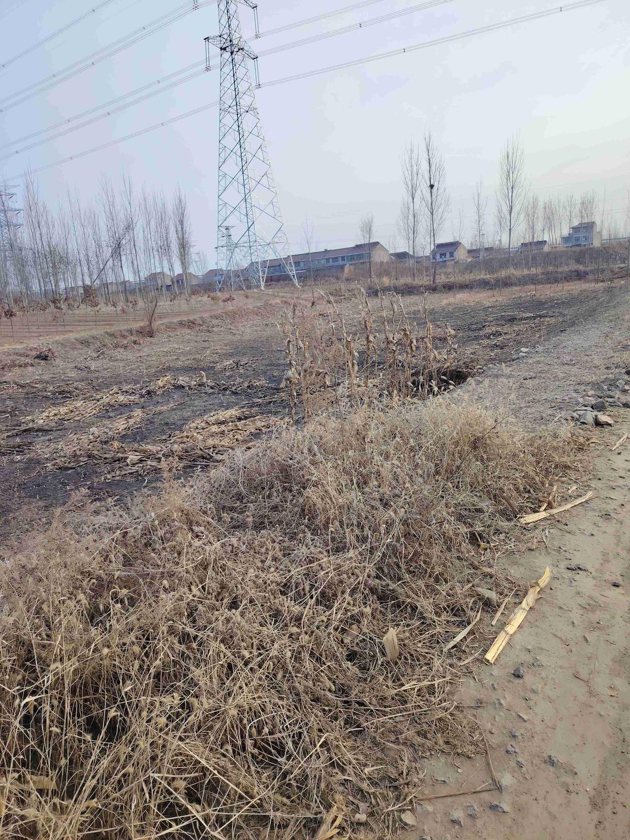 带定位晒今日生活 今天微风轻拂，心情也跟着飘了起来。我就盼着能一夜暴富，从此走上