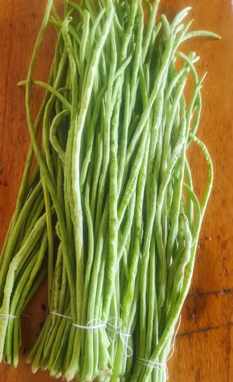 握不住的大奔 留不住的玉芬 打不完的恶仗 放不下的自尊 炖不熟的豆角 回不去的青