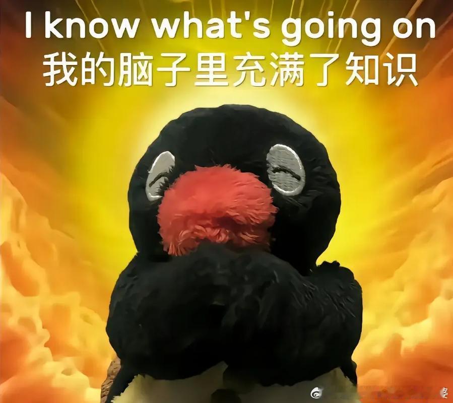 女生拔牙自行吃止痛药进ICU拔牙、种牙医生技术好的评判标准一般是速度快。速度快能