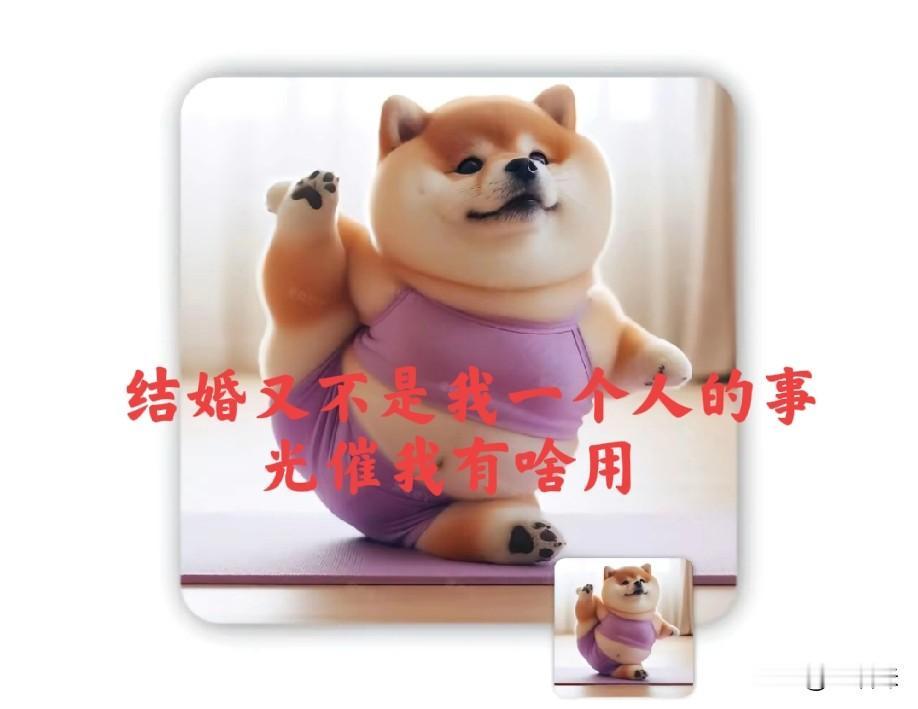 又到了一年一度催婚的日子，回家过年的单身贵族们，你们做好被催的准备了吗？

有的