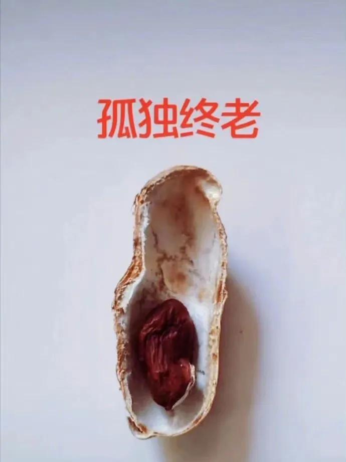 这一生…很形象了[捂脸]