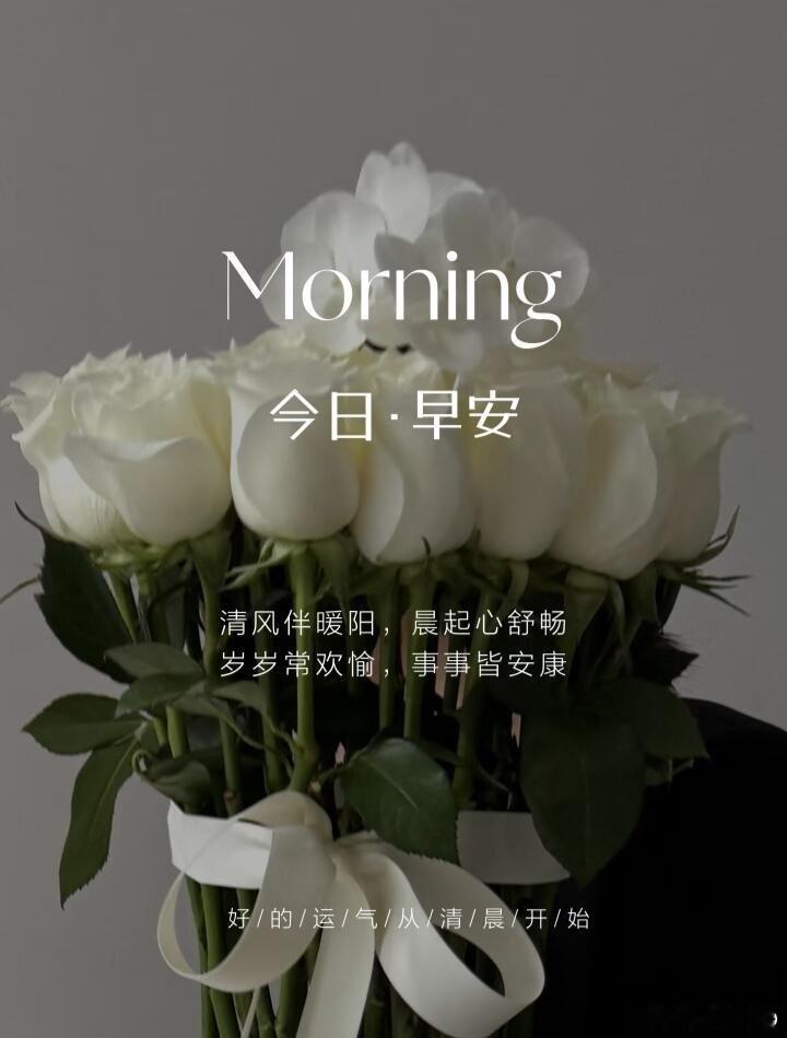 早安🌹𝓰𝓸𝓸𝒹 𝓂𝓸𝓇𝓃𝒾𝓃𝓰 💐 ²⁰²⁶/₀₇.₀