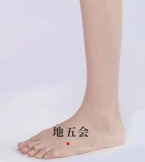 地五会：足背宝藏穴，专门化解情绪淤出来的胀痛
 
⚠️温馨提示：内容仅作养生科普