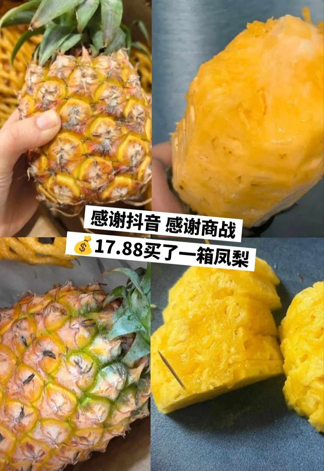 图便宜买的，谁能想到完全没踩雷啊。