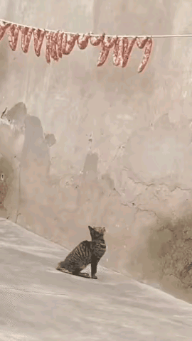 不懂就问，
这是真的吗？