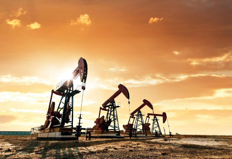 [下雨]日本这波操作简直把“嘴硬”刻进DNA里，放着近在咫尺的救命油不用，非要死