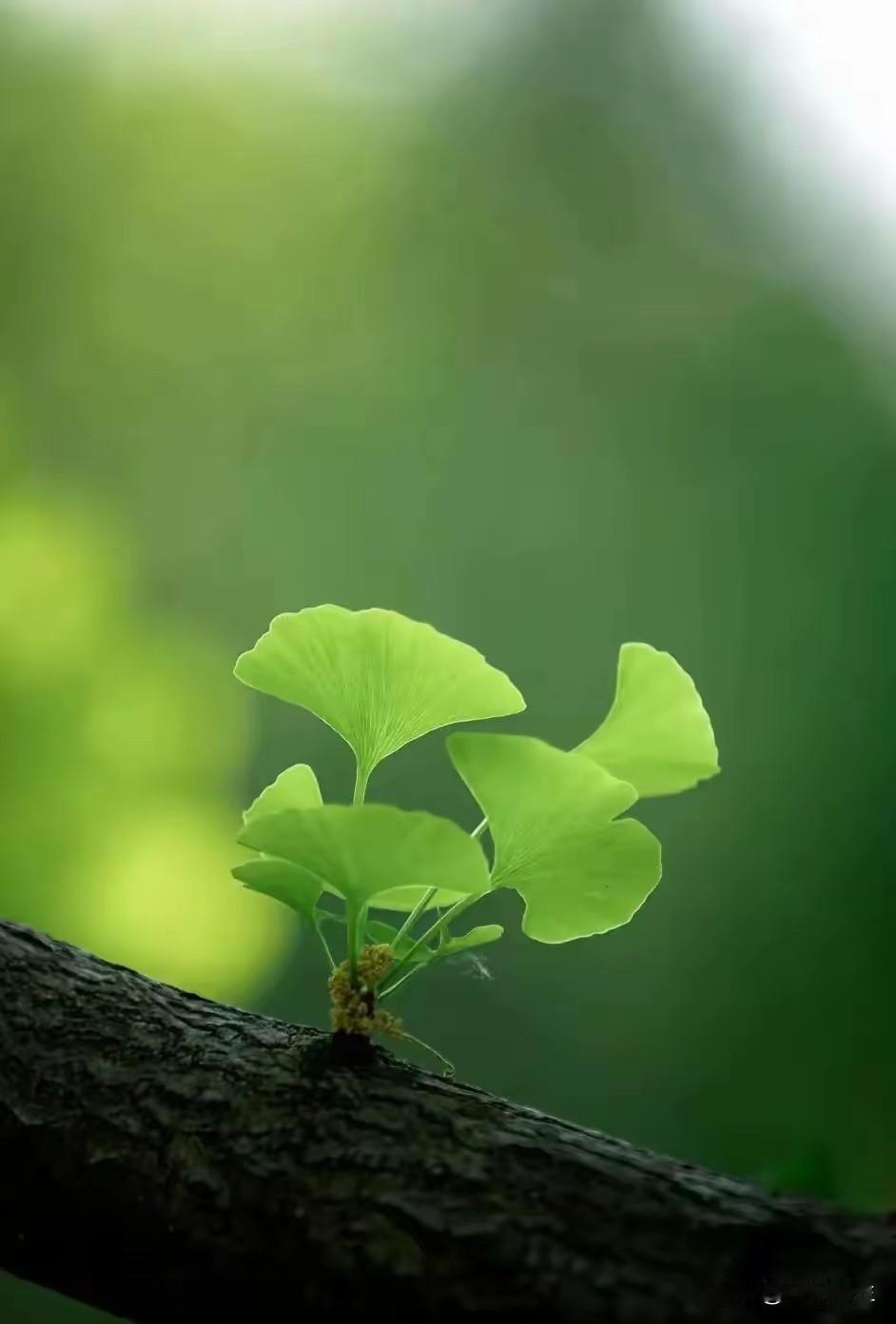 两年前就关注爱莉爱生活这个博主，同样离婚的她，远渡重洋，在大洋彼岸一个人带着儿子