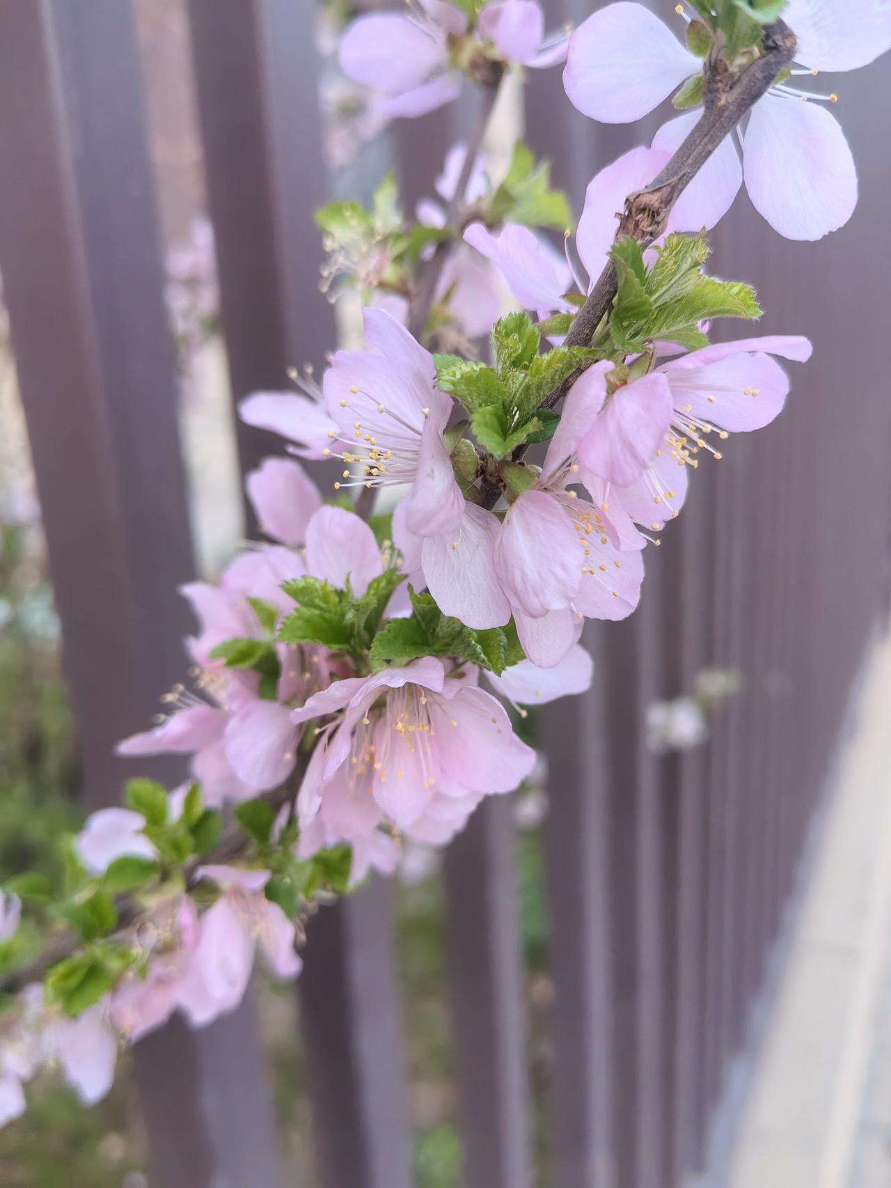 看一位头条老师天天写今天头条赚了多少钱，今天涨了多少粉，居然有不少人围观，说明什