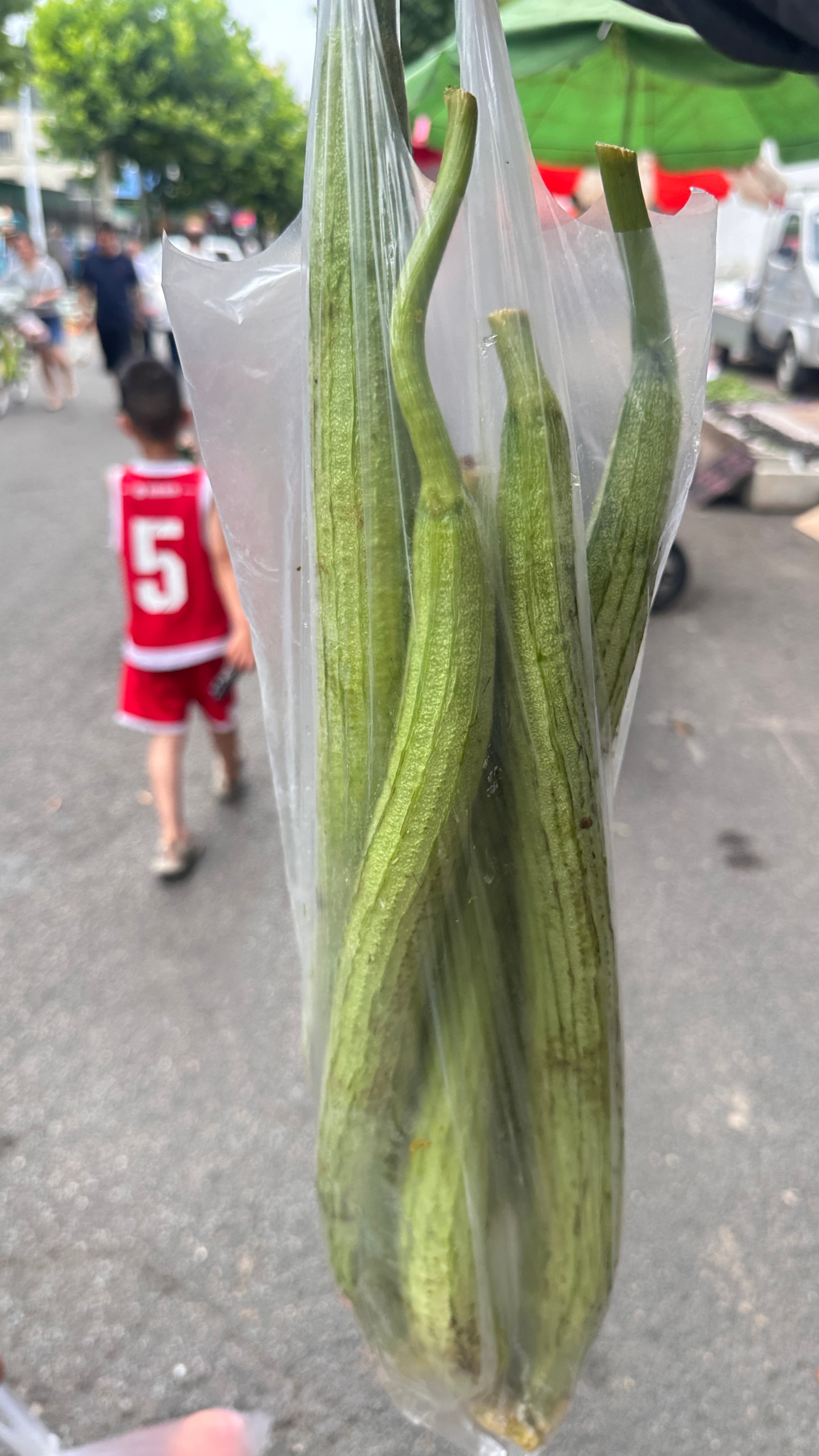 今年的瓜果蔬菜好便宜啊这一兜儿丝瓜才一块钱对，你没看错是一块钱！！前天我6块8毛