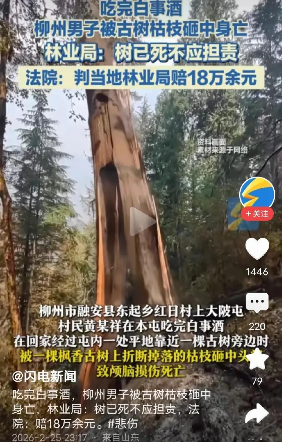 广西柳州，80多岁大爷去吃完白事酒后回家，半路被100多年的古树枯枝砸中，导致颅