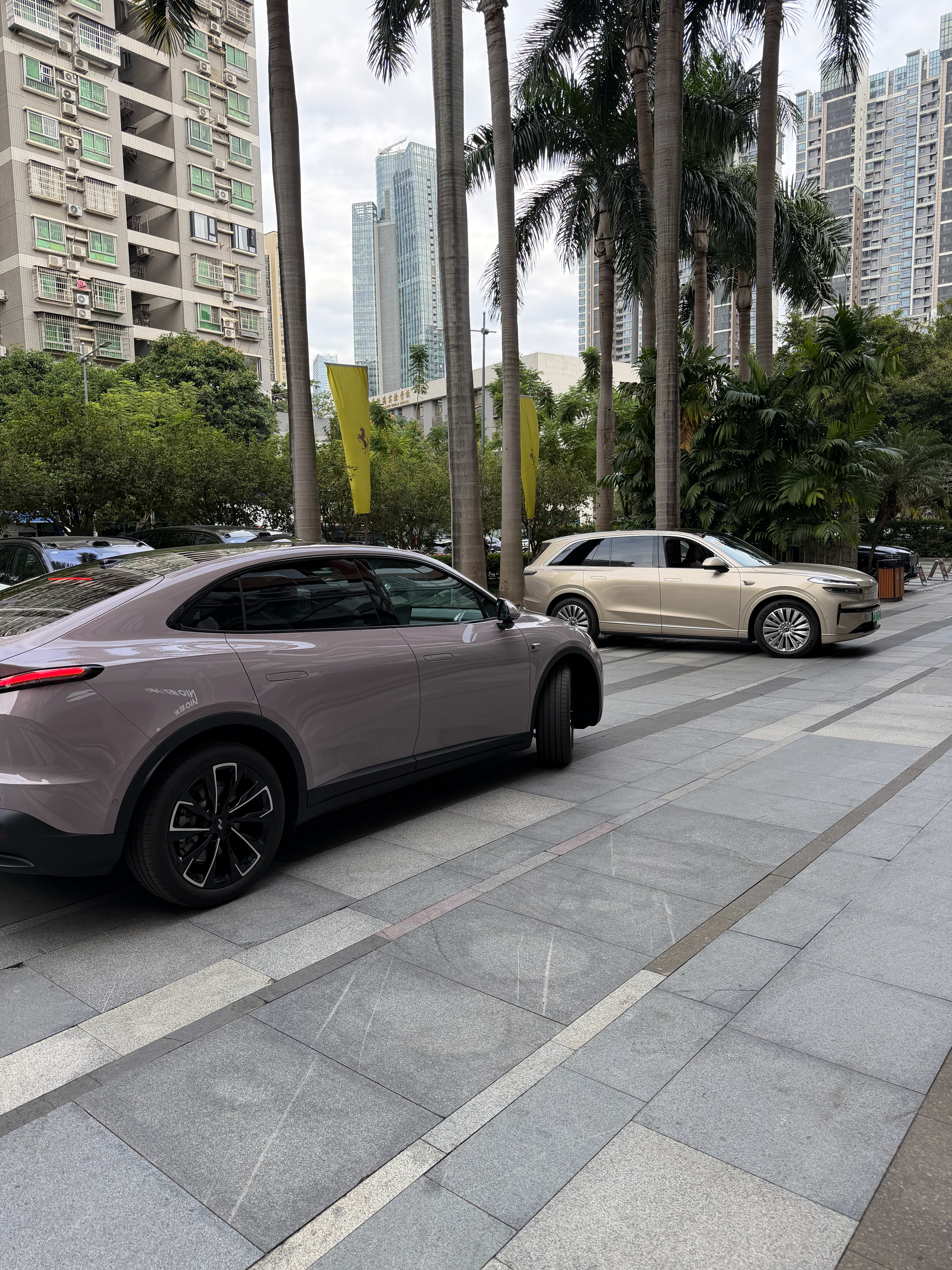 你们要看乐道 L60 还是 L90 的辅助驾驶最新版体验？快，要选车了。 