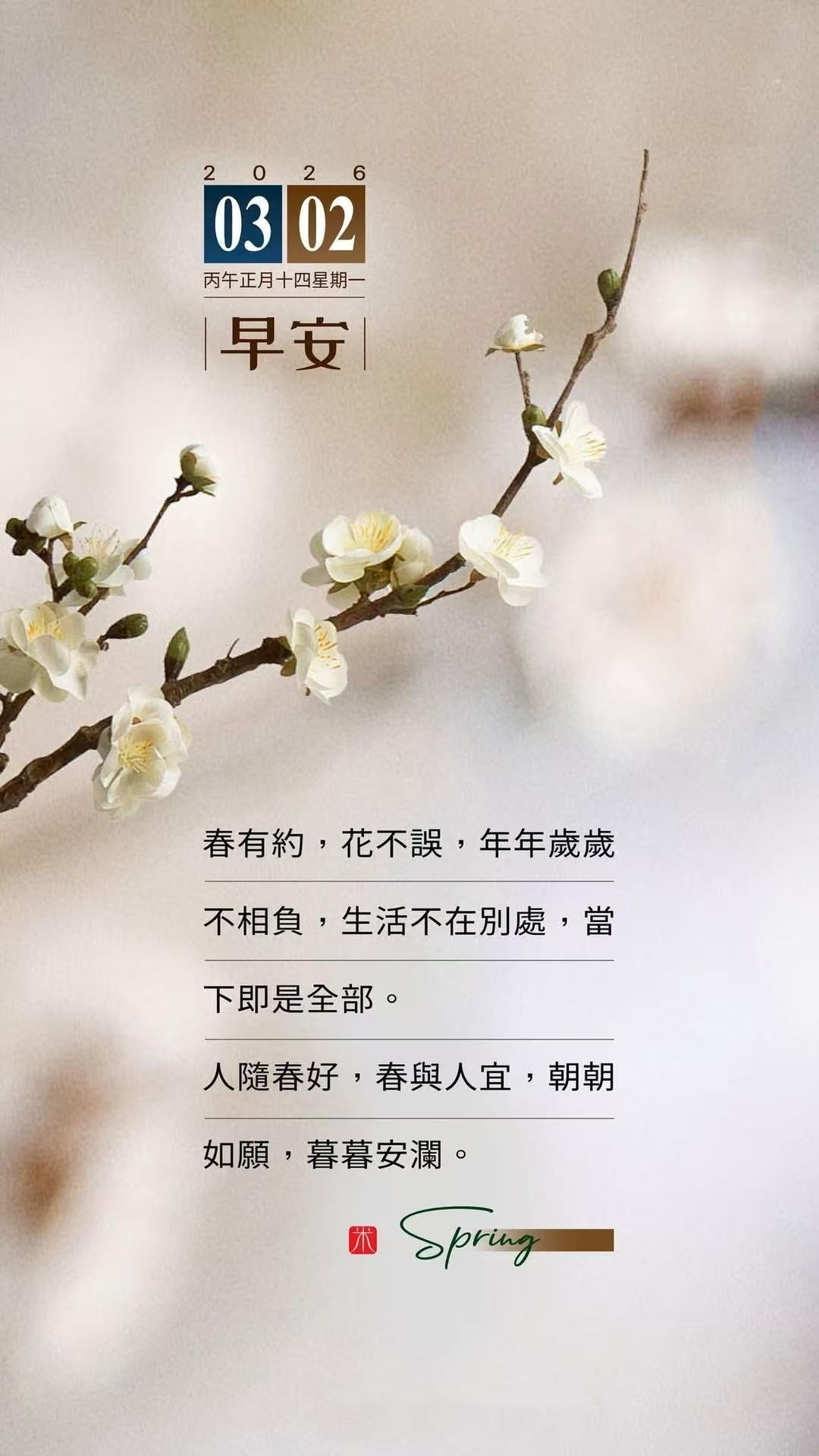 似乎过去的这整个冬季都没下过一场像样的雪。明天就要过元宵节了 不知道雪还会不会下