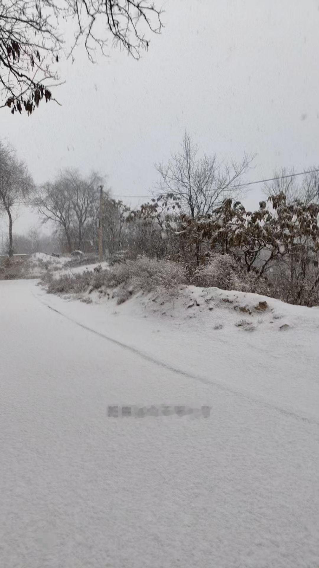 太原市阳曲县今天下雪啦！