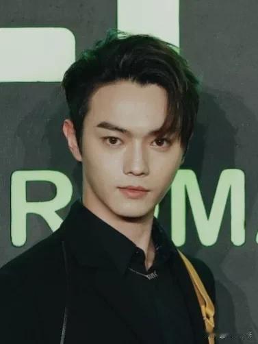 一直不觉许凯有多帅，最起码在帅哥云集的娱乐圈里只能算——中游偏上。但是许凯的鼻子