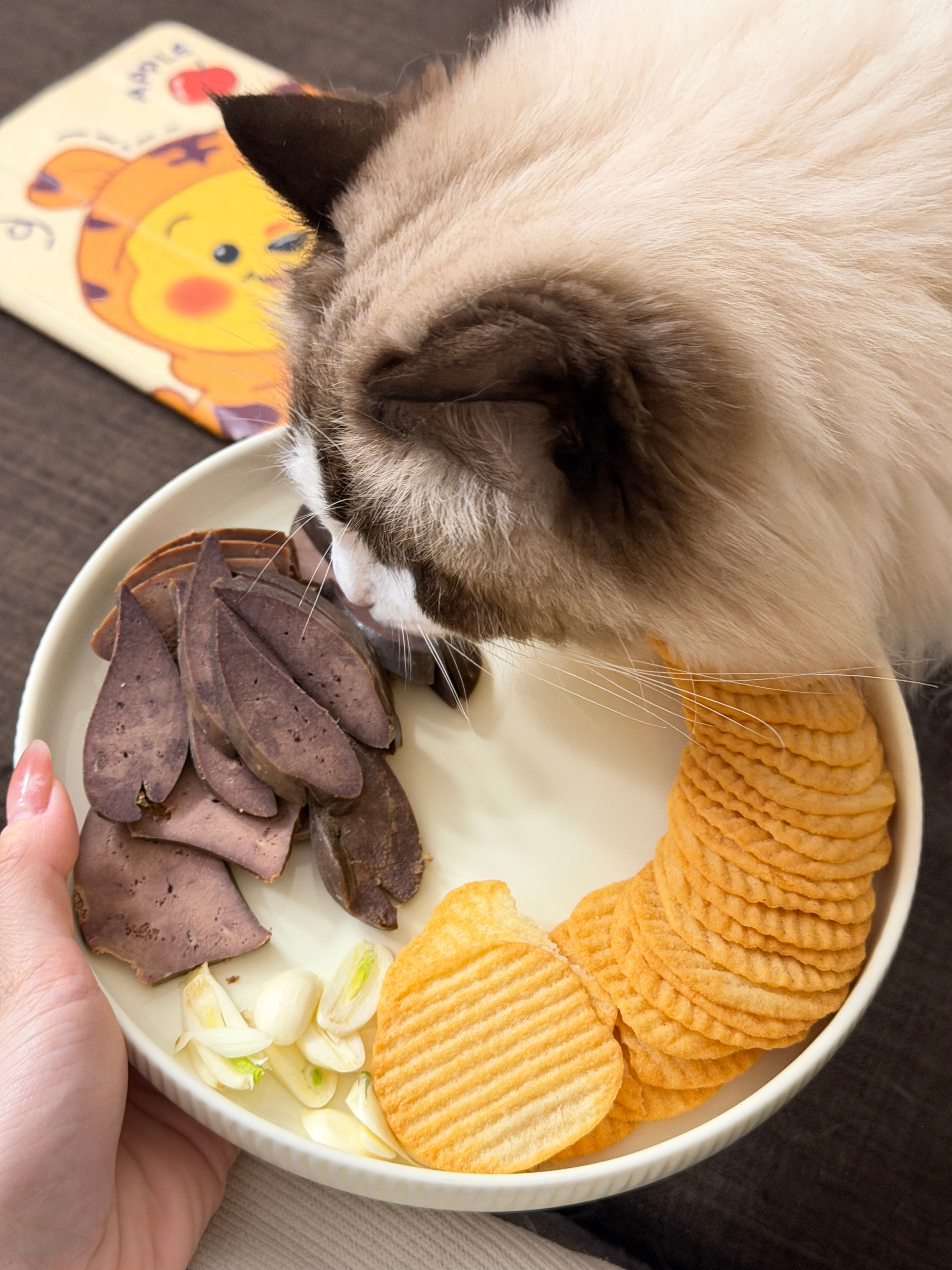 今晚吃 【肝脆薯了蒜了】