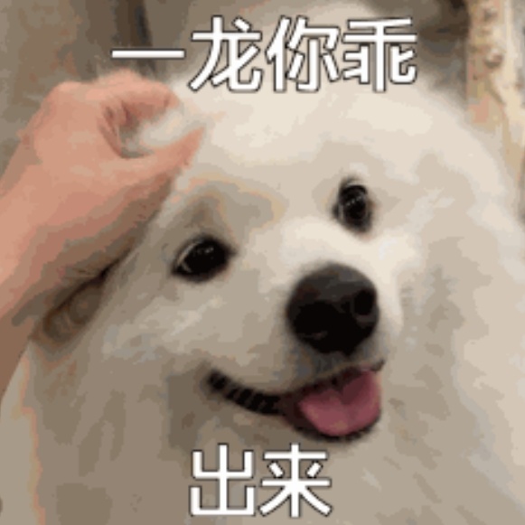 今天依旧没有新龙 