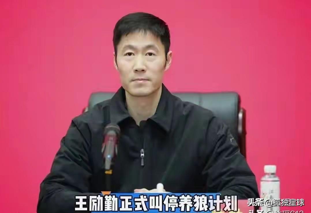 禁外协仅是第一步：王励勤还有更厉害的“招数”！
上任刚满一年，王励勤终于“忍无可