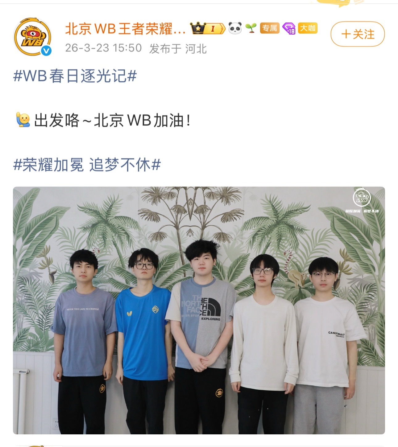 刷到一位电竞选手穿的蝴蝶FZD文化衫 