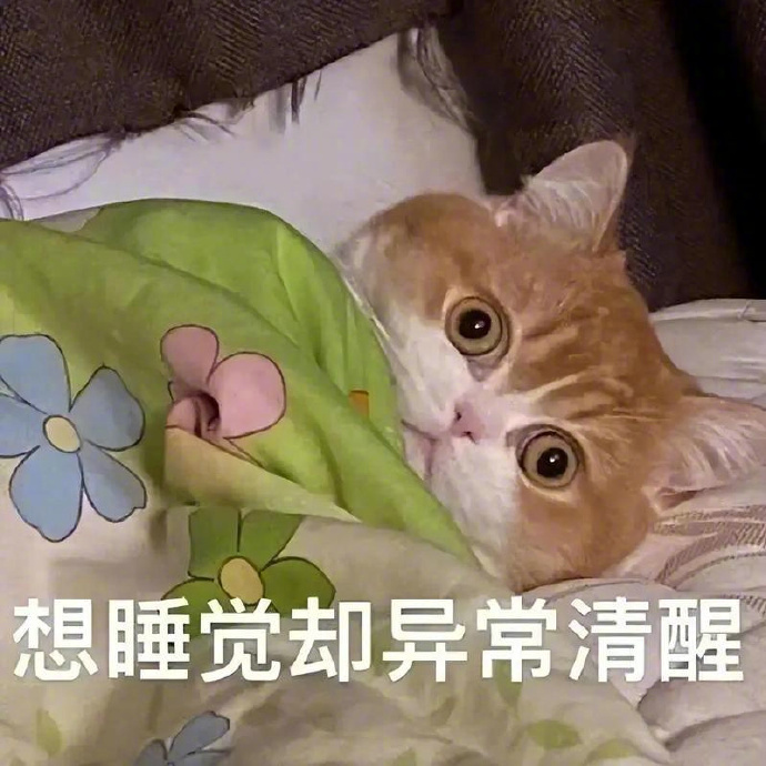 硬核研究所 【中医说夏天觉少是正常的】中医认为，夏季休息应坚持“夜卧早起”，只要