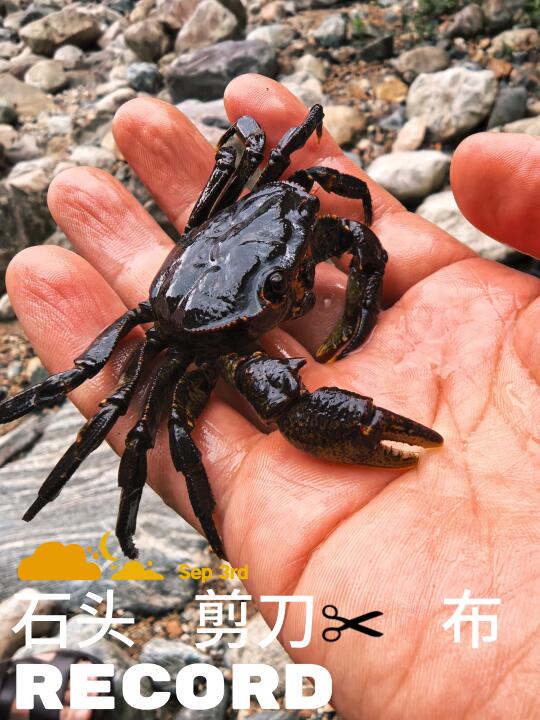 清爽夏天！溯溪→玩水→钓鱼→抓螃蟹