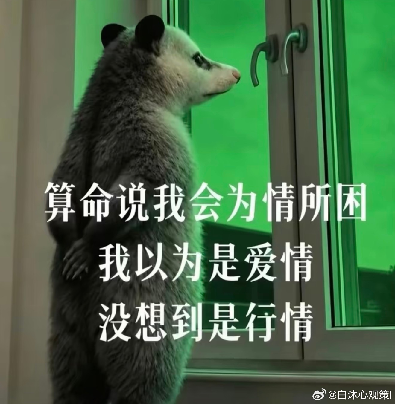 你就说困没困吧 