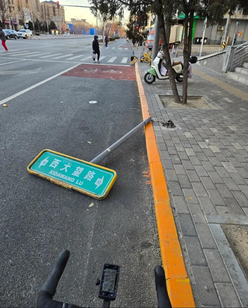 近日，北京遭遇历史罕见的13级极端寒风天气，风力之猛前所未见。街头巷尾，大树摇曳