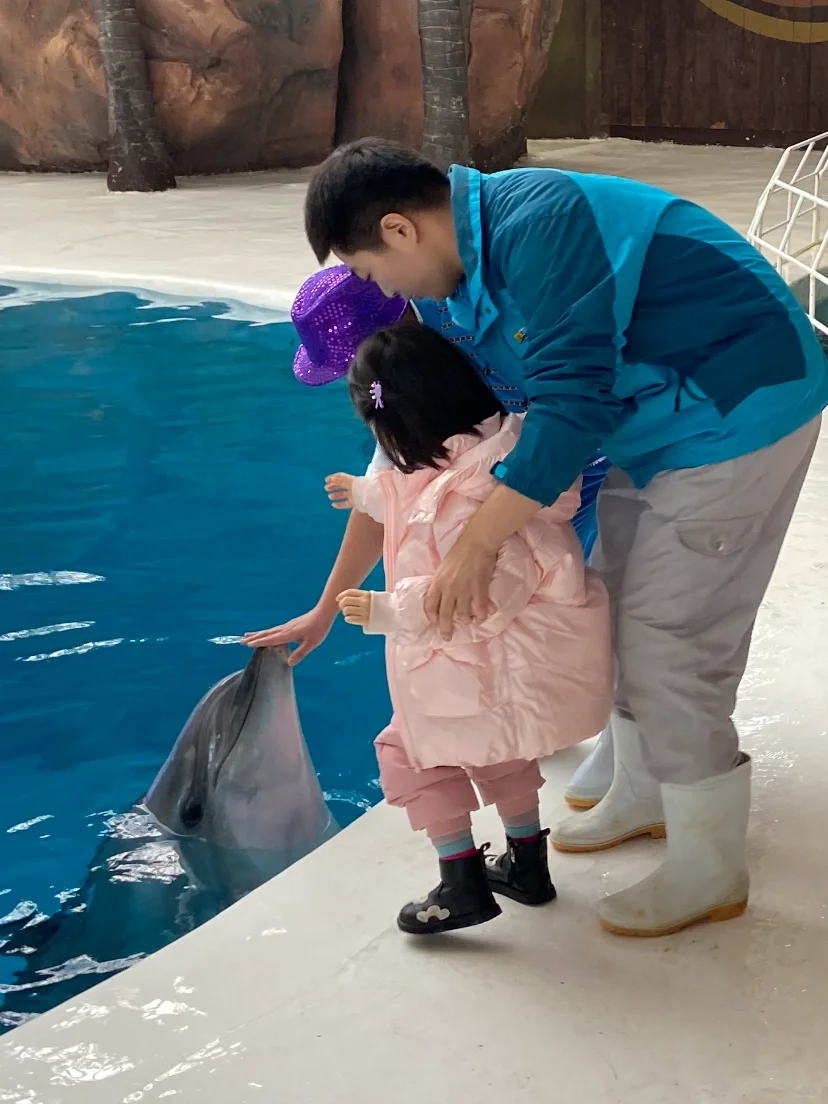 沈阳遛娃丨在海洋馆摸到了海豚🐬🐬🐬附攻略
