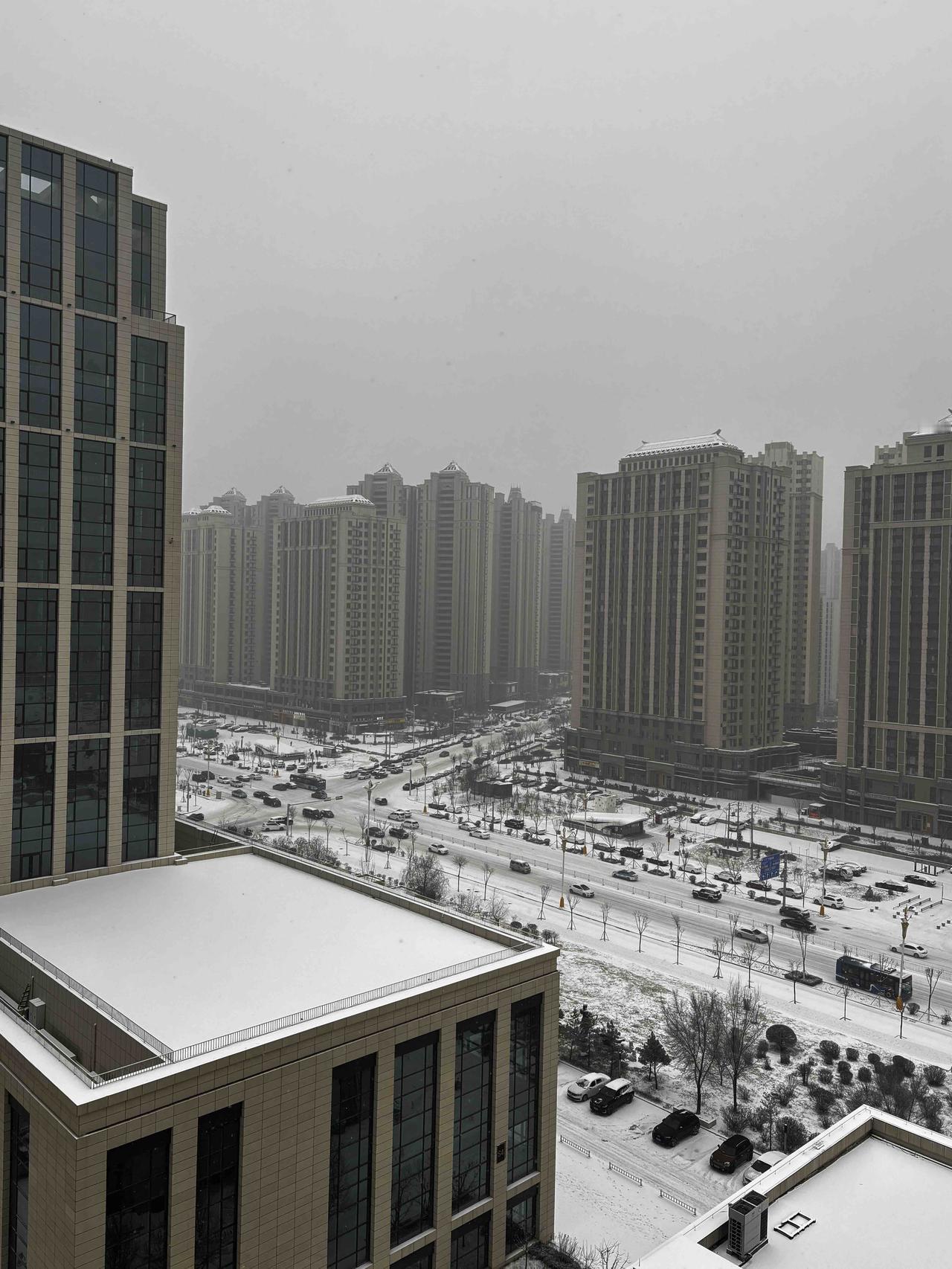 呼和浩特这大雪下得可太猛了！据预报，12月11日夜间至12日夜间，武川西北中雪，