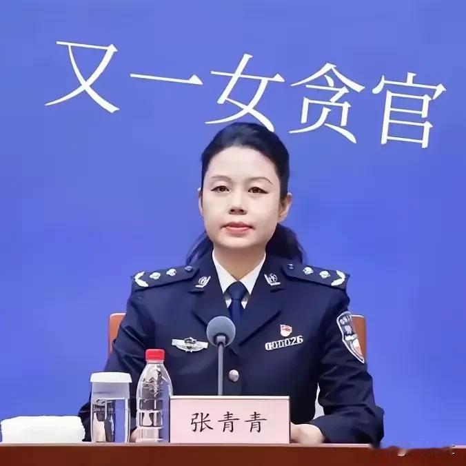 这位穿着华丽外衣官员，婀娜多姿，威风凛凛，信誓旦旦以人民服务为宗旨，面对民众笑脸