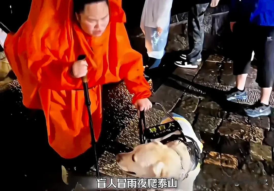近日，一对盲人夫妻带着导盲犬冒雨夜爬泰山，大家齐呼让导盲犬基地收回导盲犬。盲人夫