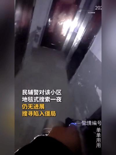 孩子赌气藏进10楼电表箱，全家找疯了！民警搜了一夜没头绪，最后竟是条1岁小狗立了