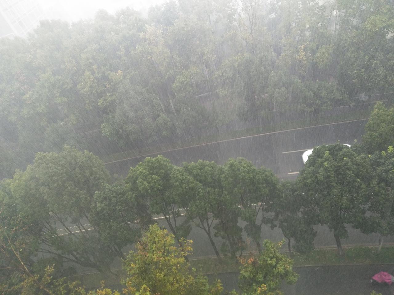 今天，
有和我一样在昆明被冻到的朋友吗？
我觉得我快被冷死了，
一下雨就入冬。