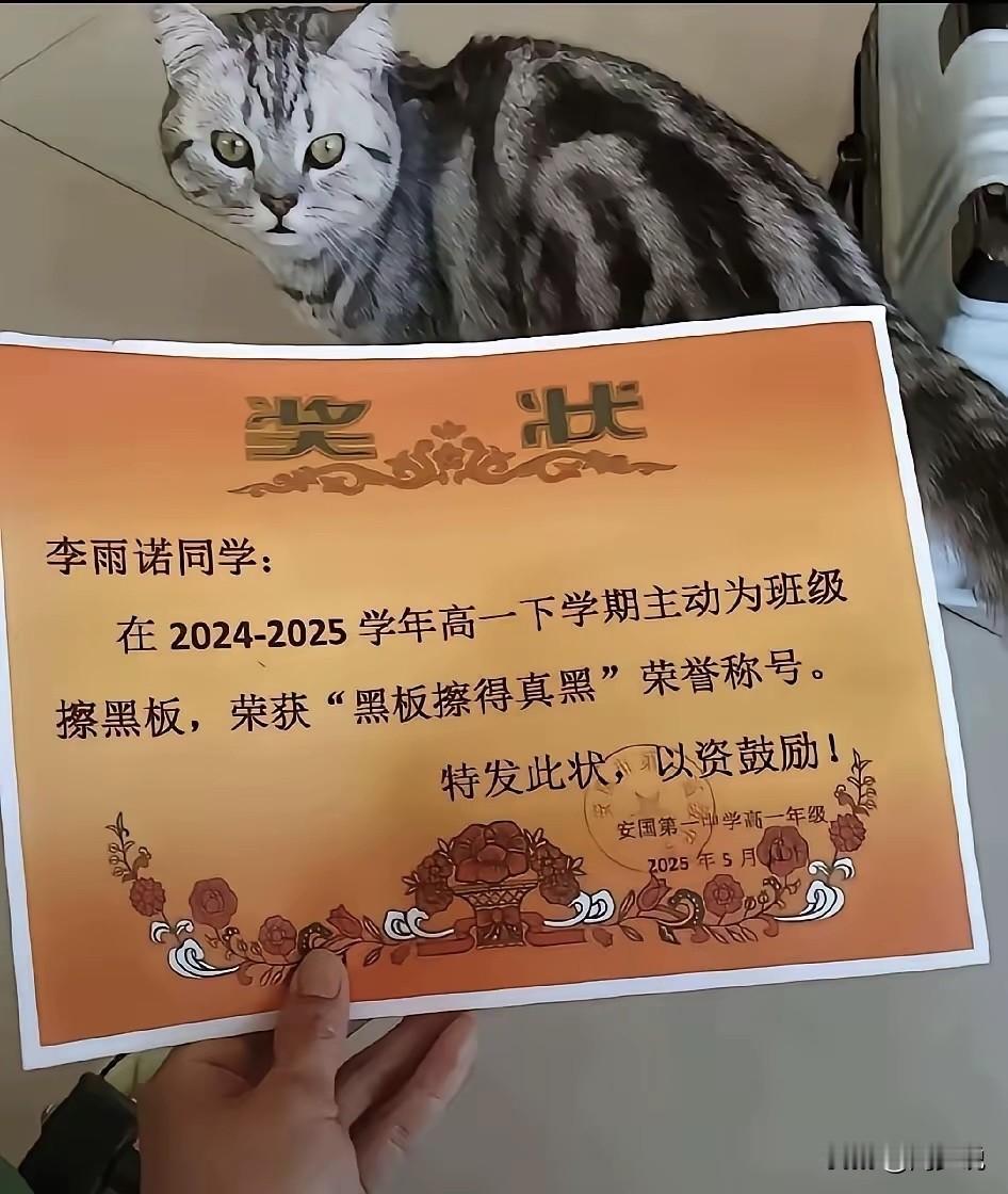 “笑哭！”不是成绩拔尖，不是才艺出众，就因为把黑板擦得干净，居然能喜提专属奖状！