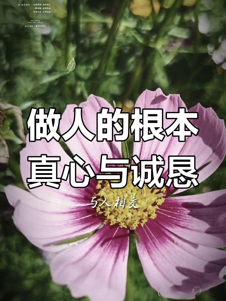 聊聊真心与诚恳
       这是人际交往中最珍贵的品质。在爱情里，真心能让两颗