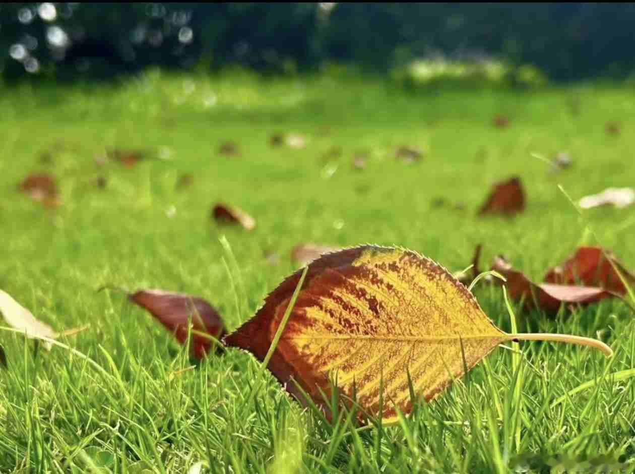 我的今日状态：😎自信酷炫
我这里的天气：☀️晴天